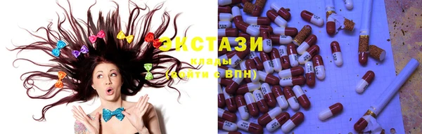 индика Богданович