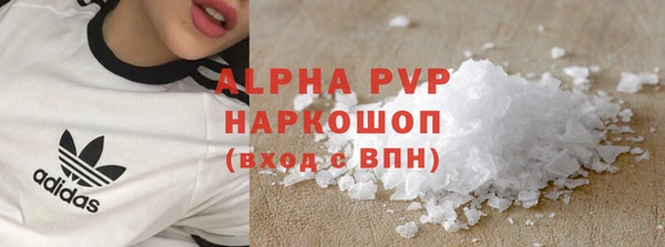 индика Богданович