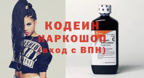 индика Богданович