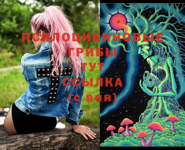 индика Богданович