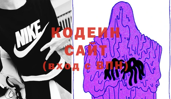 индика Богданович