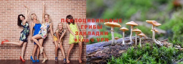 индика Богданович