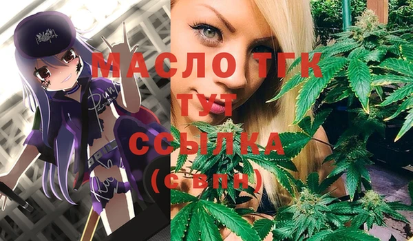 индика Богданович