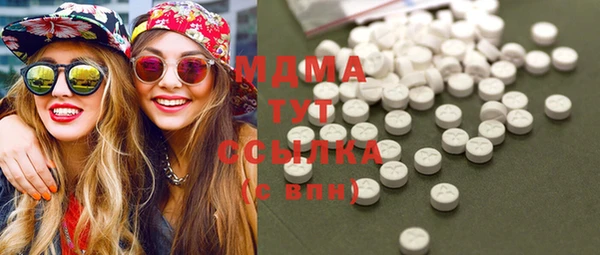 индика Богданович