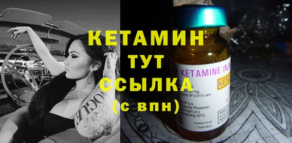 индика Богданович