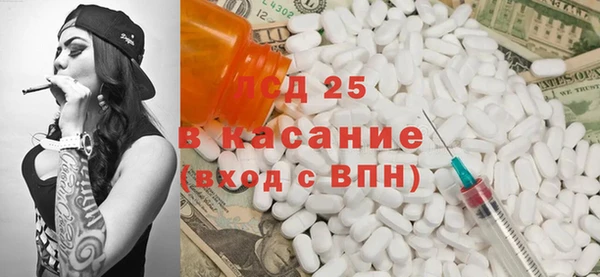 индика Богданович
