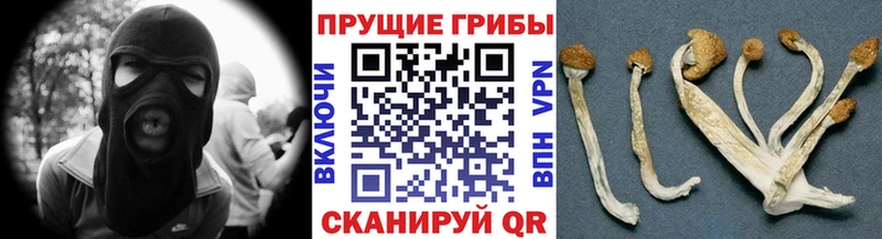 Галлюциногенные грибы GOLDEN TEACHER Новый Уренгой